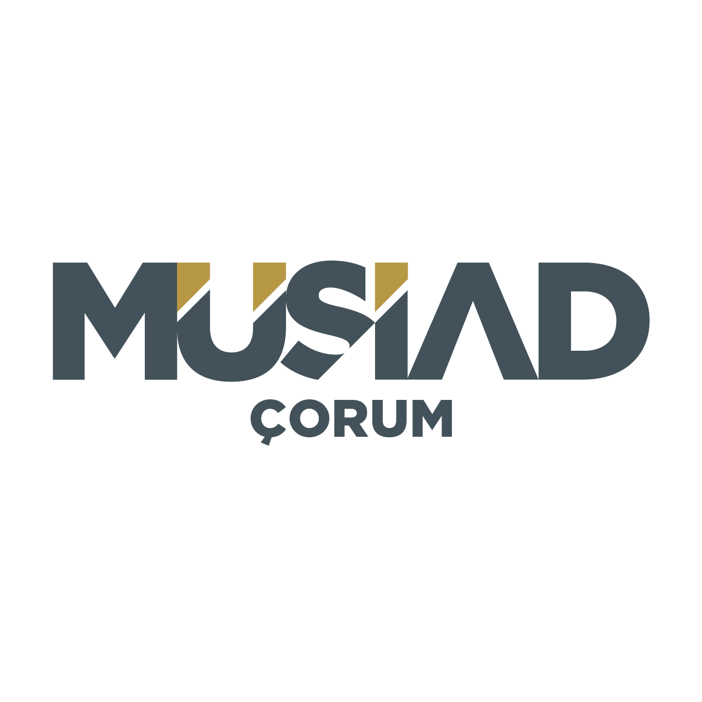 Genç Müsiad Çorum